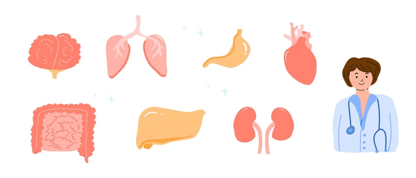 Female doctor with human organs brain, lungs, stomach, heart, intestines, liver, kidneys vector