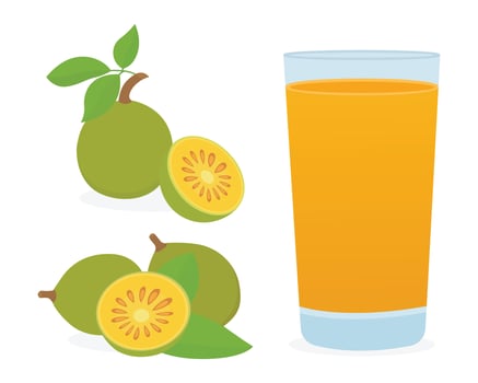 Guava juice and fresh guavas vector