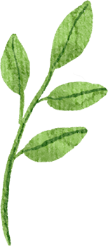 Watercolor Green Leaf png