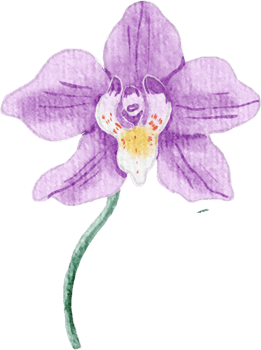 Purple Watercolor Orchid png