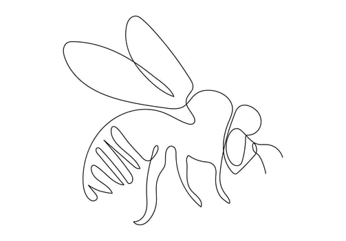 Continuous one line art of honey bee, Isolated on white background illustration. vector