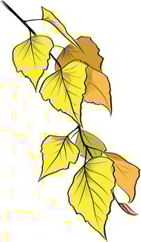 Bright autumn birch branch with golden leaves vector