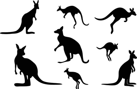 Kangaroo Silhouette Bundle Design on White Background vector