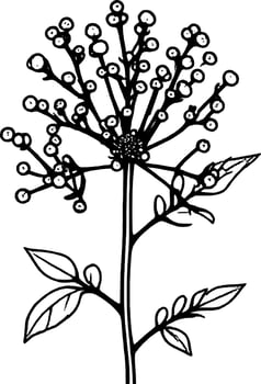 Elegant Black and White Line Drawing of a Flower with Berries and Small Leaves vector
