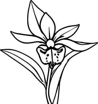 Simplified Black Outline Illustration Of A Single Flower With Pointed Petals Design vector