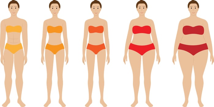 Female body types illustration. vector