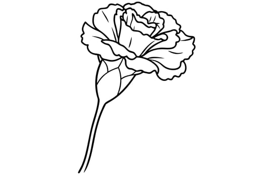 Elegant Line Drawing of a Single Carnation Flower in Bloom, Peaceful and Serene Botanical Illustration, Perfect for Coloring Pages and Floral Designs vector