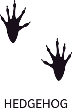 Black and white illustration showcasing European hedgehog footprints with visible claws and paw pads, isolated on a white background for wildlife education vector