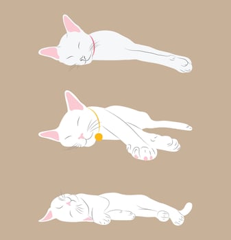 Collection of White cats sleeping in various poses. vector