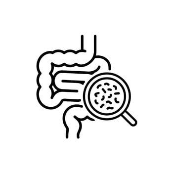 Icon of intestines with a magnifying glass examining bacteria vector