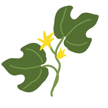 Simple illustration of fig leaves with yellow flowers vector