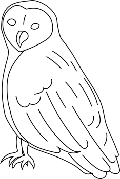 Owl Familiar Line Art png