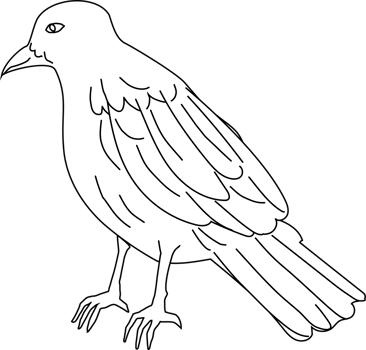 Mystic Raven Bird png