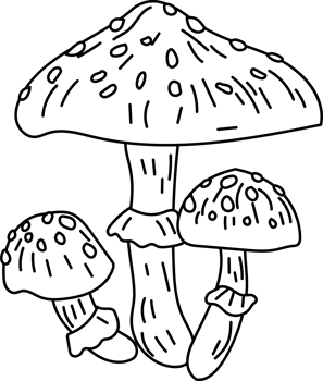 Enchanted Mushroom Cluster png