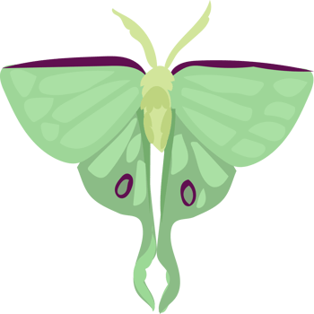 Green Luna Moth png
