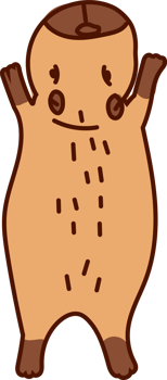 Capybara Rolling, Funny Animal Cartoon Pose png