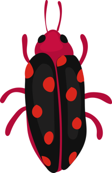 Black and Red Beetle Clipart, Whimsical Insect Art png