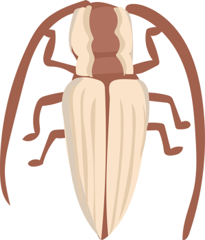 Brown Striped Beetle Cartoon, Cute Nature Bug png