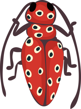Colorful Patterned Beetle Cartoon, Creative Bug Art png