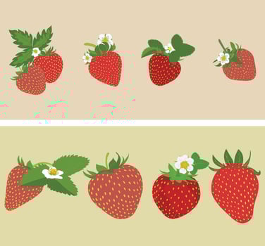 strawberry set fresh and organic delicious fruity flavors. vector
