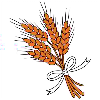 Golden organic wheat plant with grains rye cereals in rural farming outline style. Cartoon agricultural art ideal for nature farming cereal and harvest themes. vector