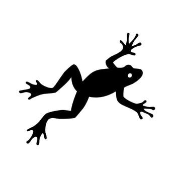 Frog silhouette on white background vector