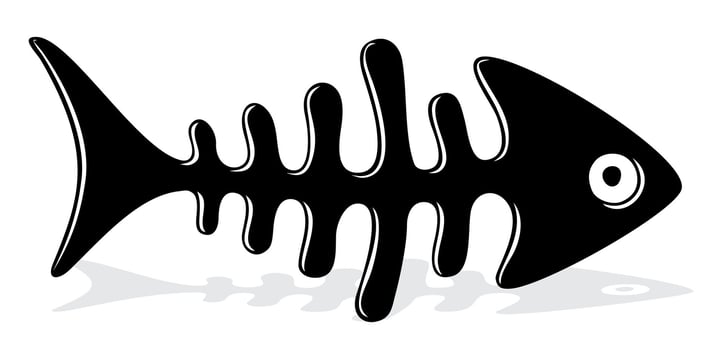 Skeleton of sea fish. vector