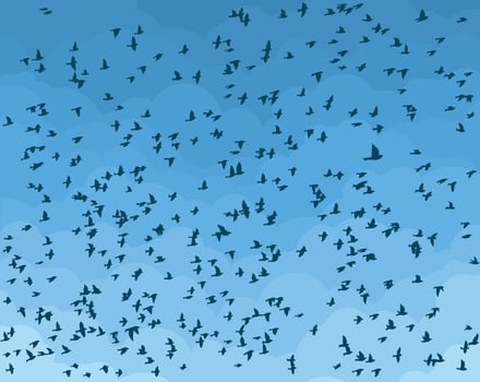 Blue sky with flight birds. vector