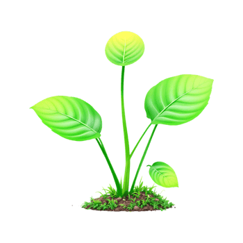 Vibrant green plant with lush leaves. png