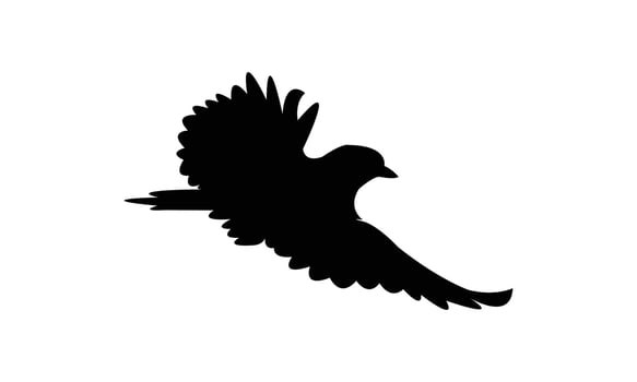 Flying American goldfinch bird black Silhouette vector