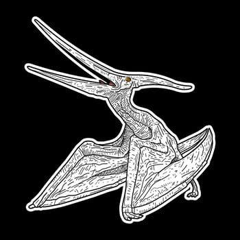 Pteranodon dinosaur hand drawn illustration artwork vector