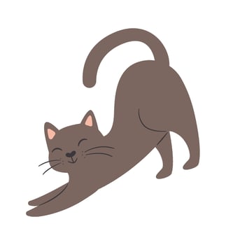 Cat Domestic Pet vector