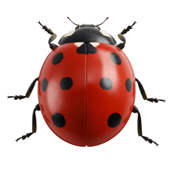 Shiny red ladybug with black spots and antenna details png