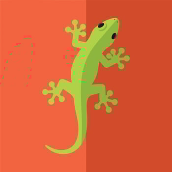 Green Lizard Flat Design Illustration with Splayed Toes. vector