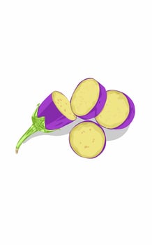 Sliced fresh purple eggplant vector