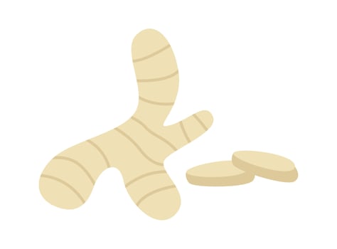 Ginger Root With Slices vector