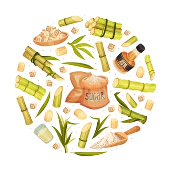 Sugarcane and sugar items layout vector