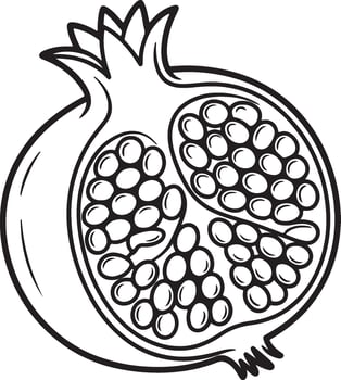 Hand Drawn Pomegranate Fruit Outline, Healthy Food, Organic Produce, and Juice Illustration for Coloring Book vector