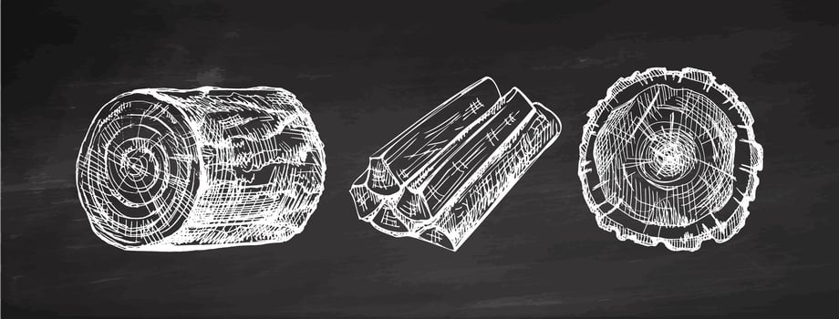 Hand drawn vintage sketch of three types of wooden logs and firewood in chalk style on chalkboard background vector