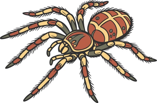 Realistic colorful spider artwork with detailed patterns and shiny gradient colors for educational and commercial use vector