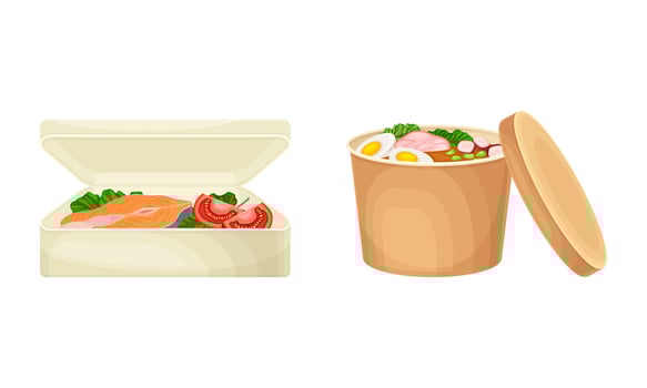 Salmon and noodle takeout lunch vector