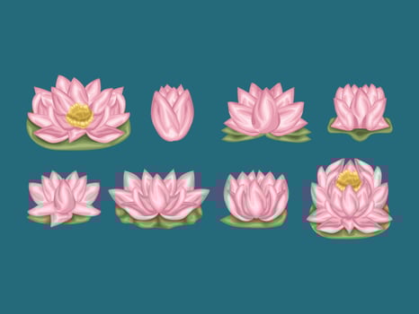 pink lotus flowers on a blue background vector