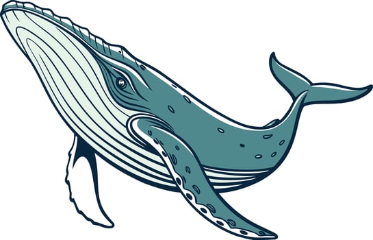 Hyper realistic whale artwork featuring realistic shading and majestic underwater pose for ocean and aquatic designs vector