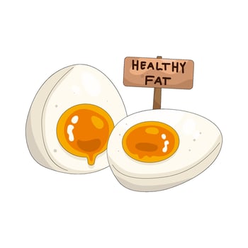 Illustration of Two Halved Boiled Eggs vector