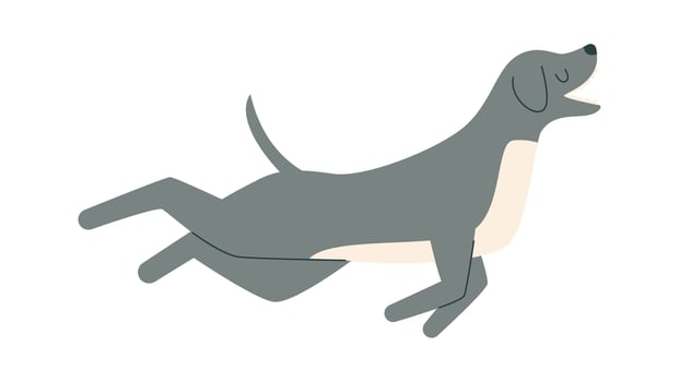 Jumping Dog Animal vector