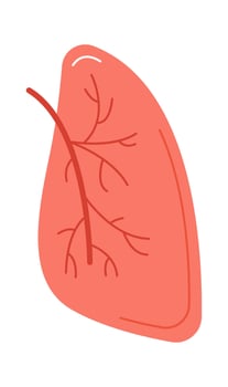 Lung Human Organ vector