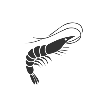 A Minimalist Flat Red Shrimp Culinary Ingredient Marine Life Seafood Illustration png