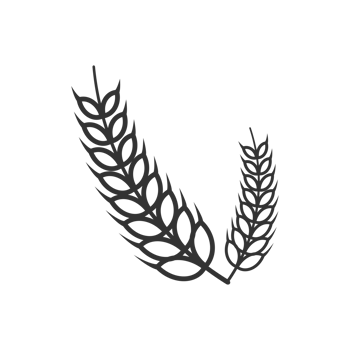 A Simple Flat Wheat Ears Agricultural Harvest Element Graphic Illustration png
