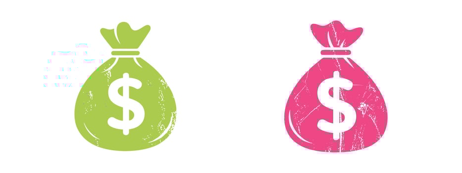illustration of two money bags representing financial themes such as income savings and investment opportunities featuring green and pink colors vector