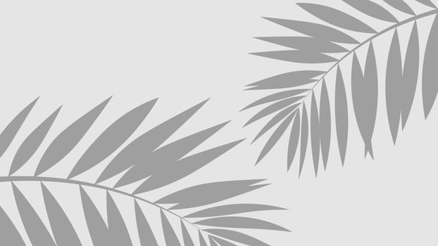 Minimalist background with the silhouette of tropical palm leaves in gray. This elegant and clean botanical illustration is perfect for summer vacation themes, spa branding, or as a wallpaper. vector